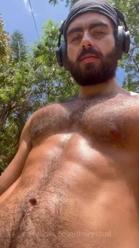 hairystud post preview